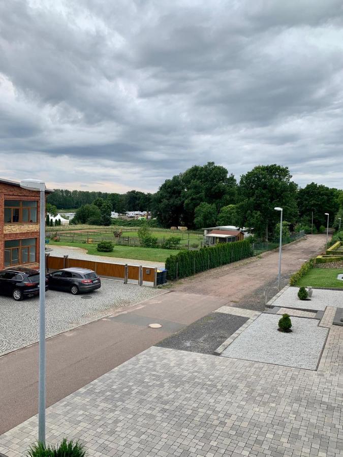 Ferienwohnung Zur Dexter-Zucht Coswig Coswig  Eksteriør billede